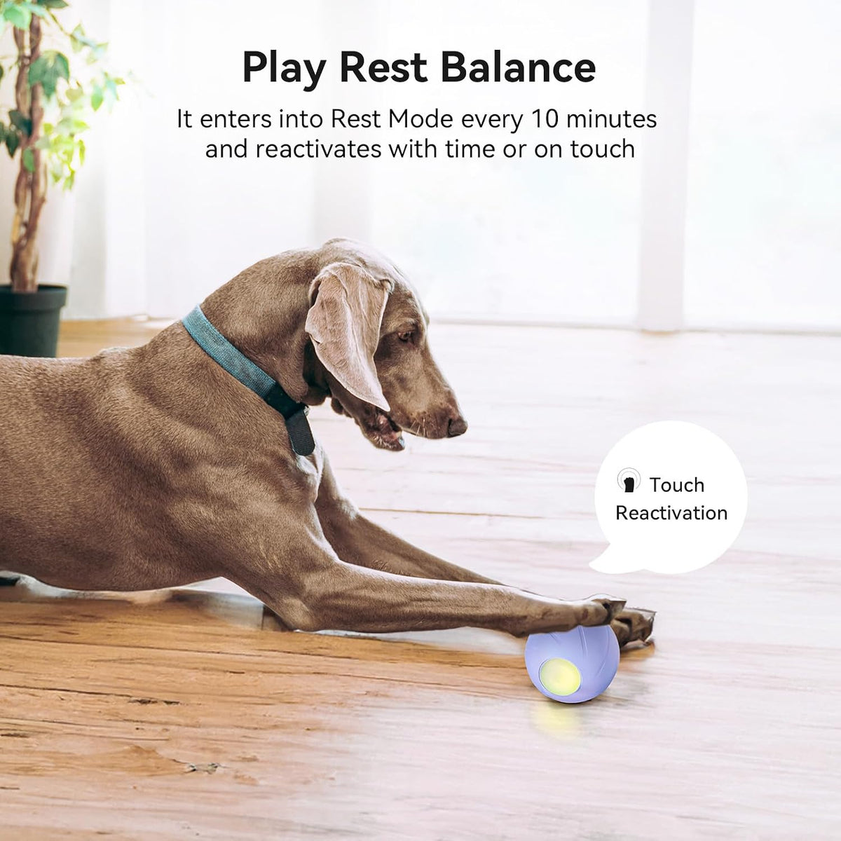 Cheerble Wicked Ball PE Interactive Dog Ball Purple Self Moving LED Rechargeable Toy image 2