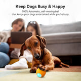 Cheerble Wicked Ball SE Interactive Dog Ball Self Moving LED Rechargeable Toy Orange image 6